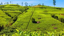 Private Tour for 3 Days (Car or Van)