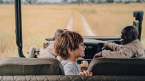 Namibia Uncovered 10 Day Desert and Safari Adventure