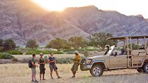 Cape Town to Safari Wonders and Wildlife Fly-In 8 Days