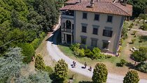 Black Gold – The True Truffle Hunt + Gourmet Tasting