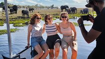 One Day, Two Worlds: Land and Water Safari in Chobe