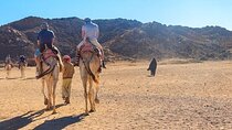 Camel Riding Adventure in the Forest and River - Agadir