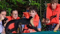 Panama Canal Private Boat Tour to Monkey Islands