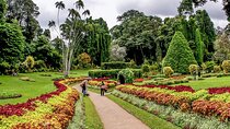 Kandy City Tour & Scenic Visit to Ambuluwawa TowerCar or MiniVan