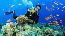 Advanced PADI Diving Course in Stunning Red Sea – Sharm El Sheikh