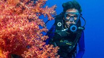 PADI Advanced Scuba Diving Course in the Red Sea –Sharm El Sheikh