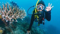 Intro Diving for Beginners 2 Stops Diving with Lunch - Hurghada