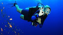 PADI Open Water Course, Build Your Diving Skills – Marsa Alam