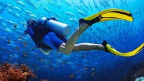 Scuba Diving Boat Trip For Beginners With Lunch – Marsa Alam