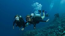 Full-Day Hamata & Qulaan Islands Diving Trip W/Lunch – Marsa Alam