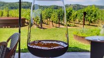 Private Chianti wine tour