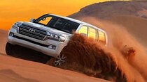 VIP Dessert Safari Red Sand with Quad Bike Camel Ride 