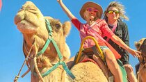 Promena DE a Back of the Camel in Agadir at Sunset