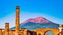 Multiple Attractions and Historic Tours in Naples Pass