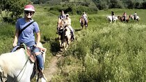 Horseback Ride and Wine Tasting Tour near Florence