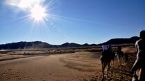 2 Day Desert Tour From Marrakech To Zagora Marrakech Desert Tours