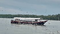 Kuala Selangor Firefly with eagle feeding and Sky mirror Tour