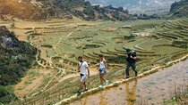 11 Day Vietnam Explorer History Trekking and Hidden Gems