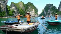 Vietnam for Beginners 7 Day Intro Tour 