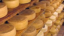 Tuscany Olive Oil and Cheese Tour with San Gimignano Visit