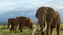 5 Days Group Joining Safari through Northern Circuit Destinations