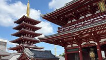 Tokyo Private Half-Day Tour by Car with Local Guide
