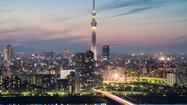 Tokyo Private Sightseeing Tour by Car and English Speaking Driver