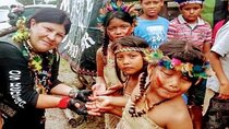 Santos Shore Excursion: Full Day Rain Forest Indian Reservation 