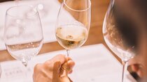 Andalusian Wine Tasting Tapas and DE wine tastings