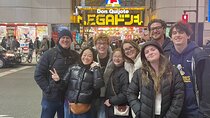 Tokyo in a Day A Tailored Full Day Tour with Private AC Car