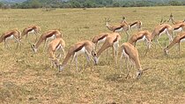 3 Days Tour to Panorama and Kruger National Park
