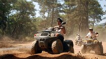 Side Quad and Buggy Safari Adventure