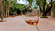 Queretaro Wine Route and Magic Towns