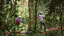 4-in-1 Sky Tram, Sky Trek, Sky Walk and Arboreal Challenge