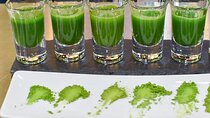 Casual Matcha Tasting Experience in Tokyo