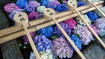 Kyoto Private Hydrangea Tour by Car and Rail