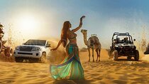 VIP Desert Safari Red Dunes with Camel Ride Fire Shows and BBQ
