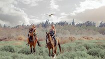 Horse Riding Adventure in the Forest and River - Agadir