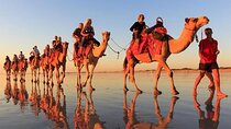 Sunset Camel Ride With Barbeque - Aagdir