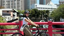 Tokyo Bay Sunset and Night View for 3h E-bike Guided Tour