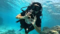 Hurghada Full-Day Scuba Diving & Snorkeling Adventure with Lunch 