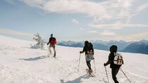 Queenstown to Cardrona Snow Farm Tour