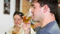 Drinks of Sevilla Tasting