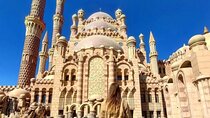 City Tour and Seafood Lunch Private Experience – Sharm El Sheikh