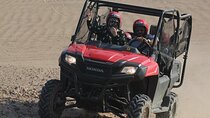 Family Buggy Car Safari & Camel Ride with Transfer - Marsa Alam