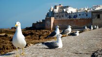 Essaouira Full Day Trip From Marrakech-Essaouira Morocco Day Trip