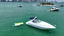 37 Ft Cruiser Yacht for 2 or 4 hours, Bluetooth, and Champagne