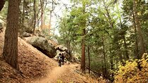 Idyllwild Day Tour 