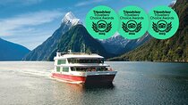  Milford Sound Small Group Tour, Cruise & Picnic Lunch