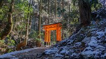 Kyoto: Fushimi Inari Hidden Hike (Private)